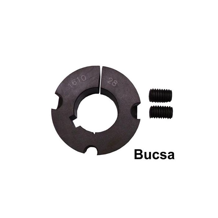 Bucsa